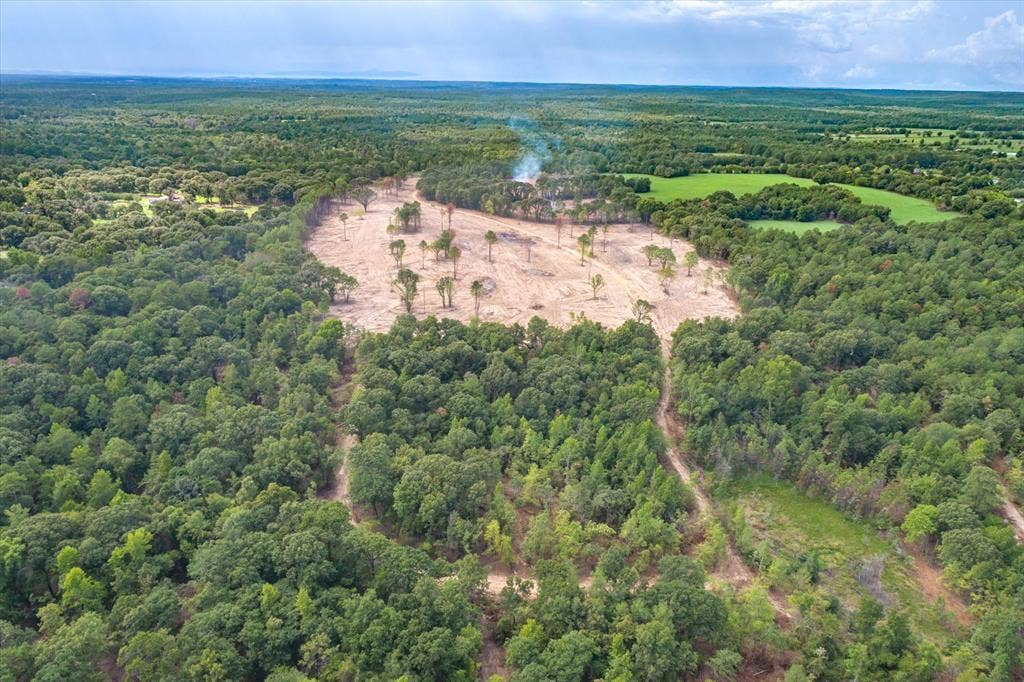 Tract 2 - TBD County Road 4307 Road, Larue, TX 75770 Expansive wooded acreage with a cleared parcel, featuring mature trees and a distant open field