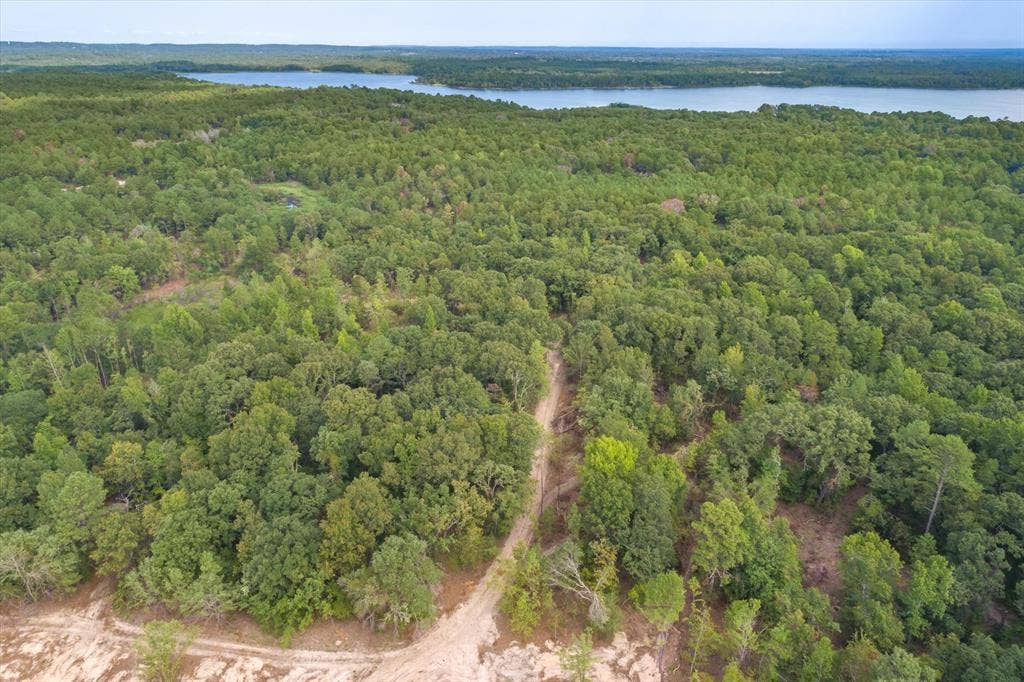 Tract 2 - TBD County Road 4307 Road, Larue, TX 75770 Expansive wooded acreage featuring a cleared dirt path, mature tree canopy, and distant water bodies under a neutral sky