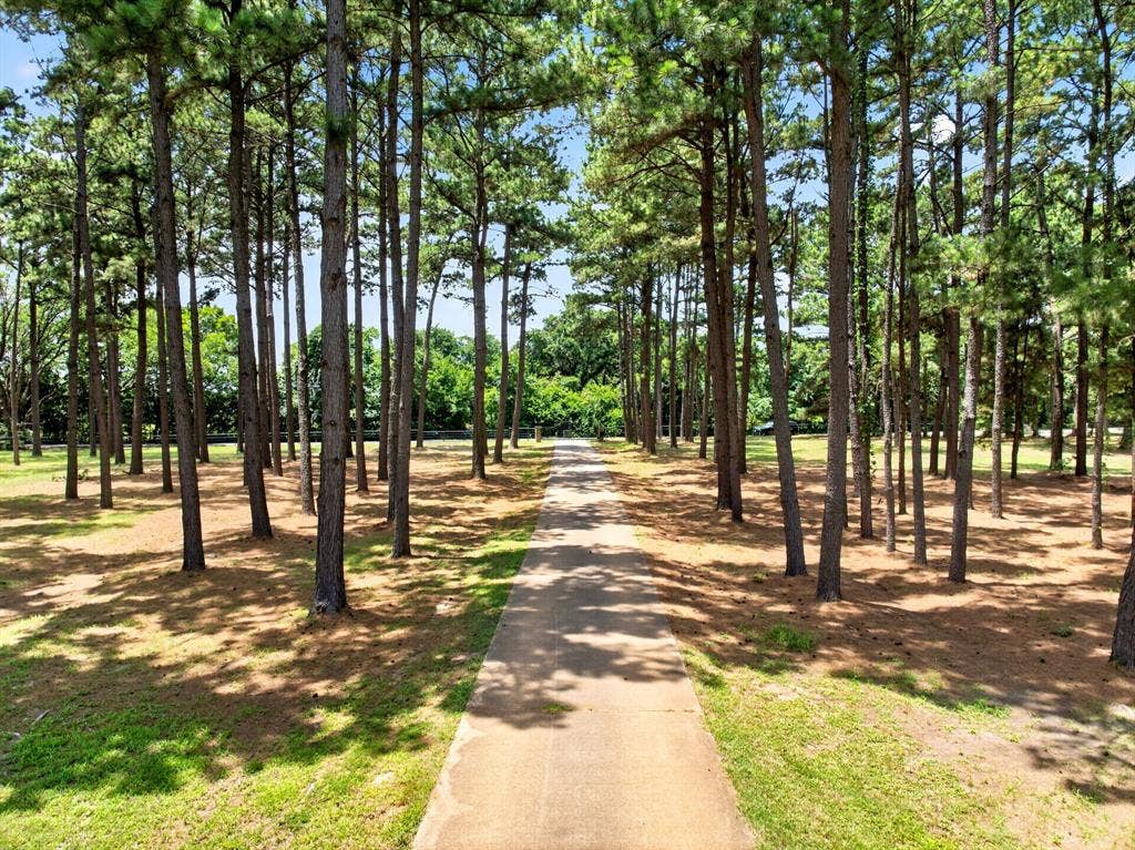 1201 Robbins Road, Athens, TX 75751 Front of property featuring private, gated access from Robbins Rd & mature pine trees.