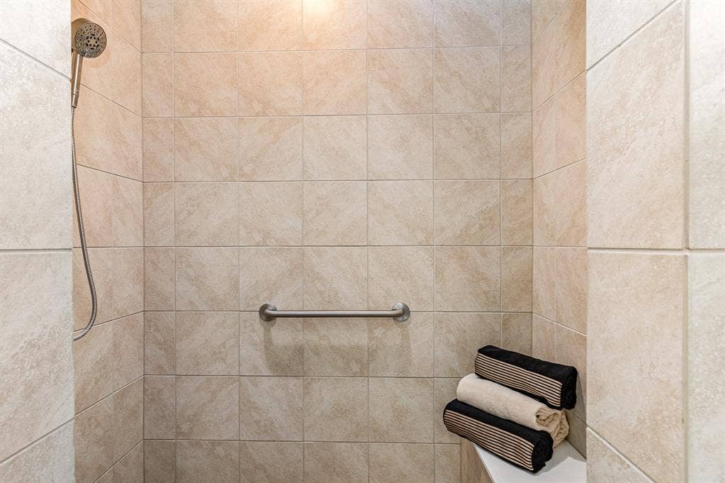 3861 Dalea Drive, Prosper, TX 75078 Roll in Shower with Bench and Handrail