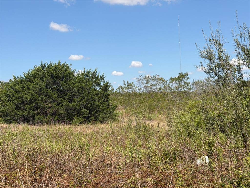 2550 Hodge Road, #Lot 3, Moody, TX 76557