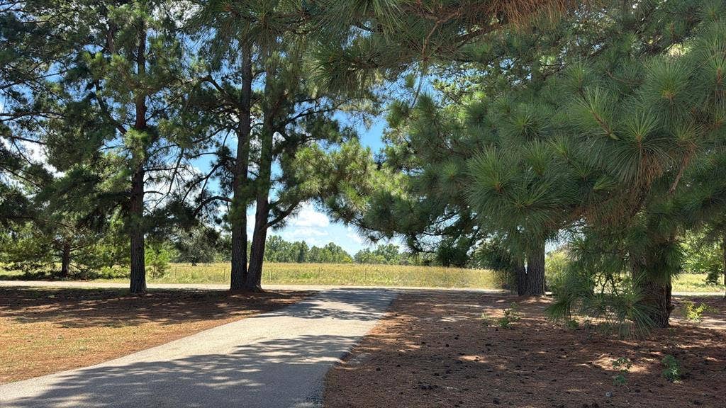 5337 Dusty Road, Athens, TX 75752 Mature Trees