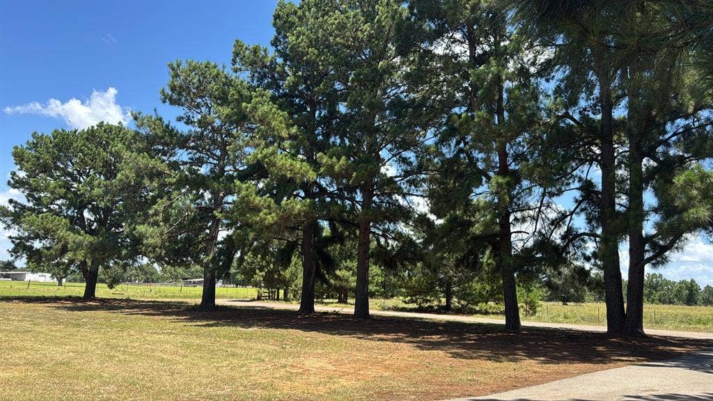 5337 Dusty Road, Athens, TX 75752 Mature Trees