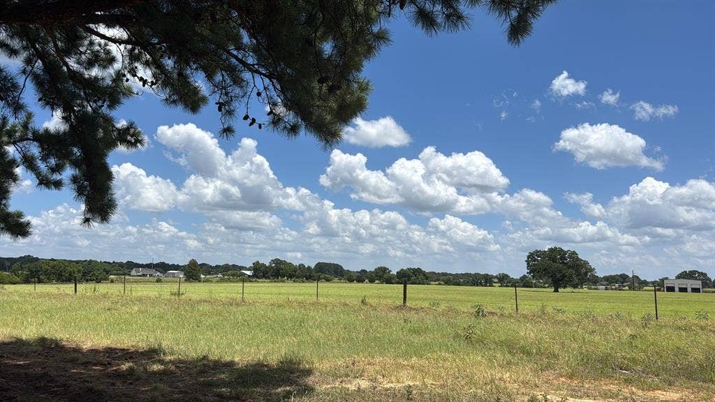 5337 Dusty Road, Athens, TX 75752 Acreage
