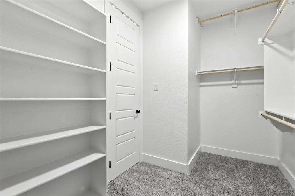3141 Claire Drive, Midlothian, TX 76065 Walk-in closet with extensive built-in shelving, multiple hanging rods, paneled door with matte black hardware, and gray carpet flooring