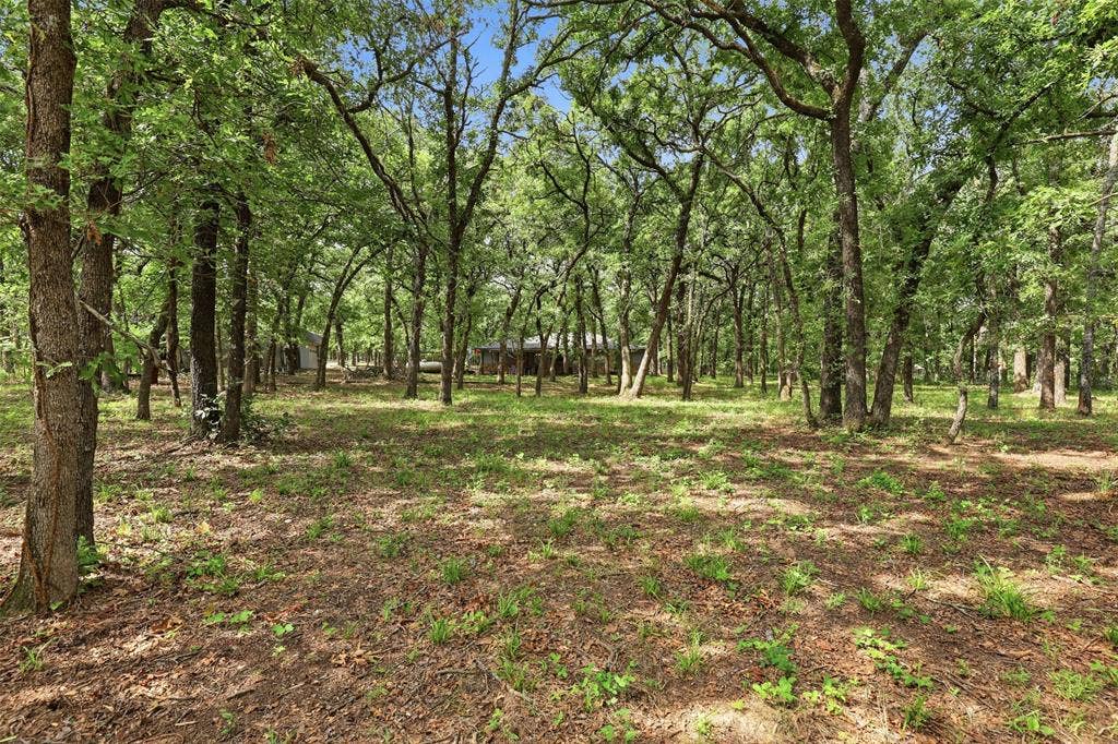 777 Wildwood Trail, Weatherford, TX 76085 Wooded property featuring mature trees, partial ground cover, and a glimpse of a structure in the background