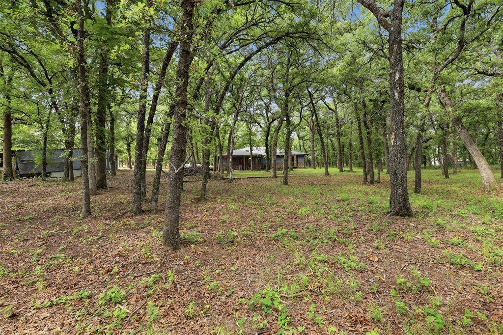 777 Wildwood Trail, Weatherford, TX 76085 Wooded lot featuring mature deciduous trees and a natural ground cover of foliage and leaf litter