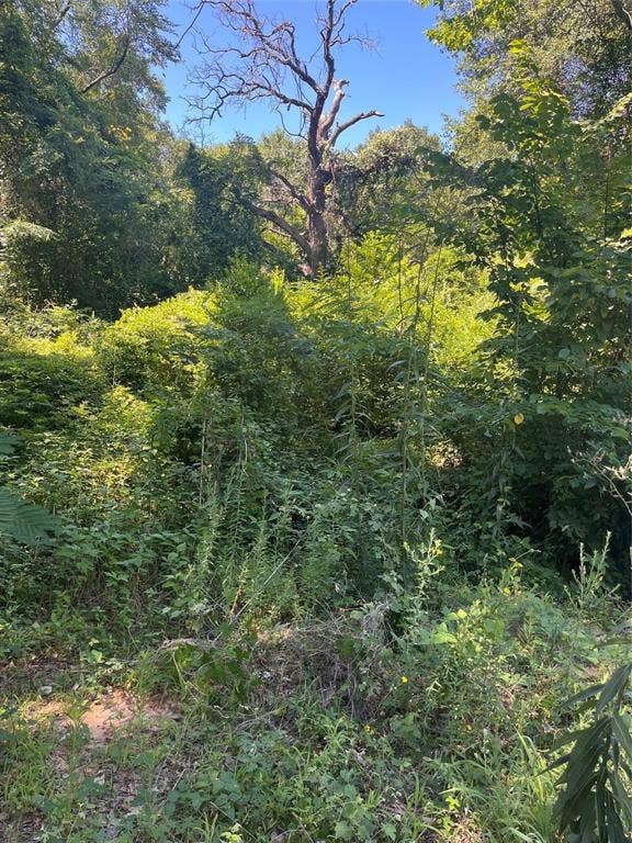 Property photo for 0 Ponderosa Drive, Eustace, TX