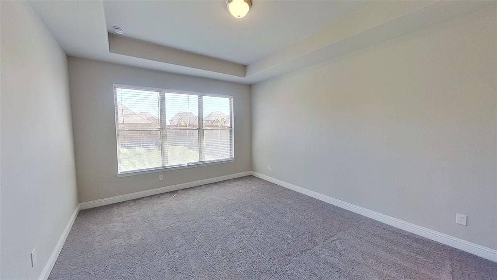 6117 Horsetail Drive, McKinney, TX 75071 6117 Horsetail Drive, McKinney, TX 75071