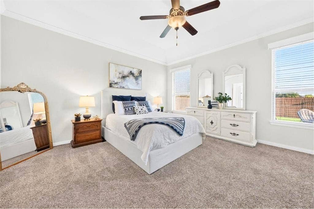 Tray ceiling with crown molding, ceiling fan, carpeting, and multiple windows