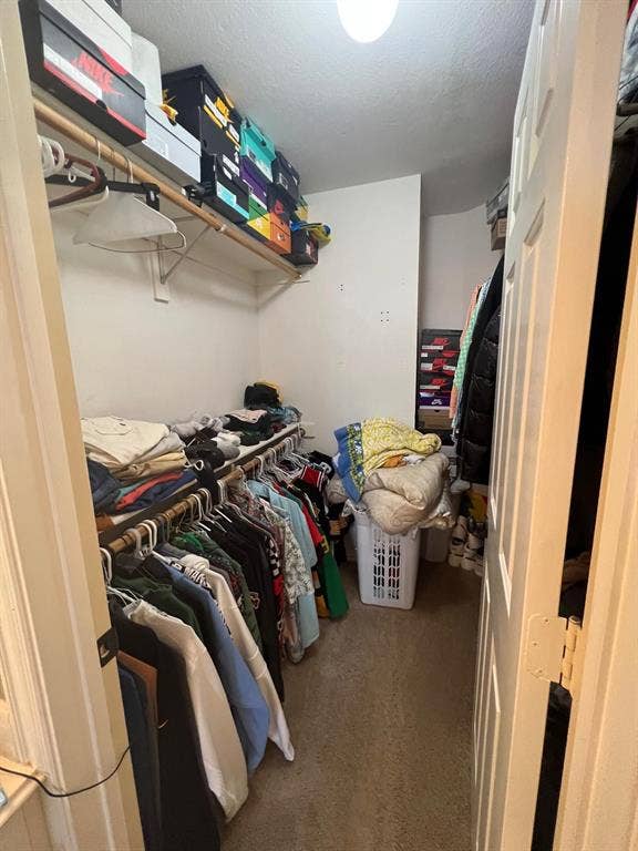Walk-in closet featuring carpet flooring, built-in shelving, hanging rods, and a ceiling light fixture