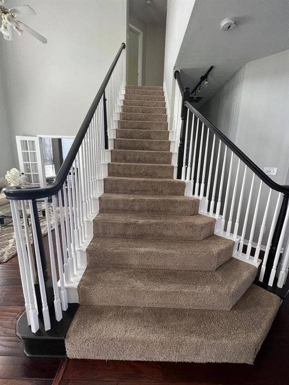 Grand staircase featuring white balusters, dark wood handrails, and plush carpeted treads