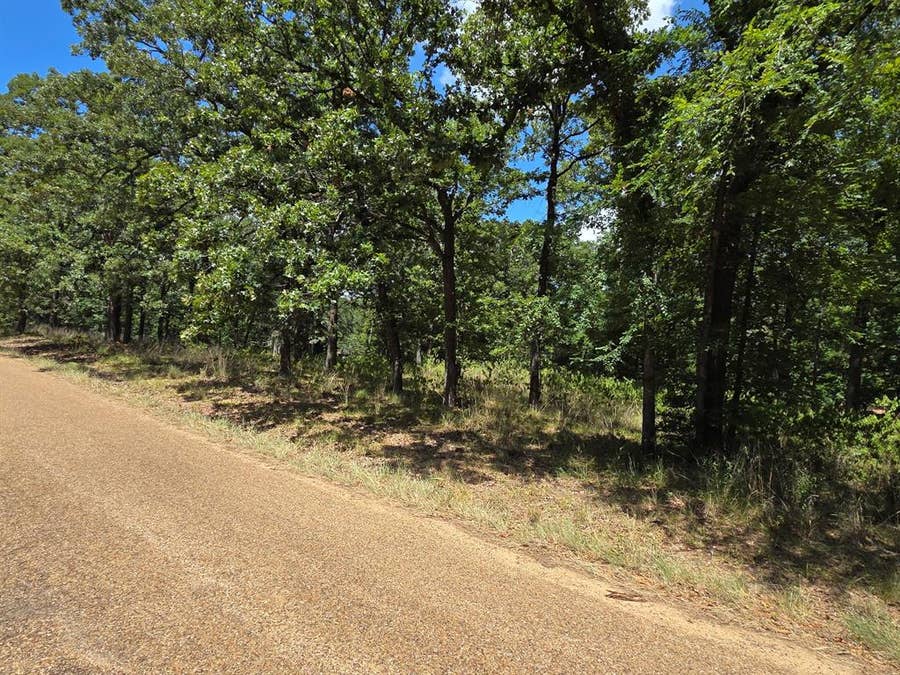 Property photo for 00 Hickory Street, #Lot 89, Mabank, TX