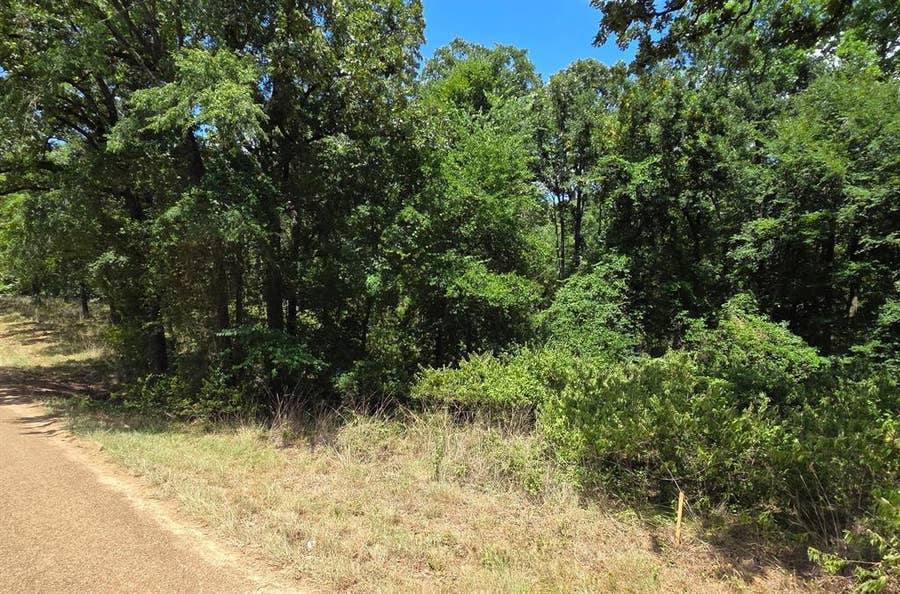 Property photo for 0 Hickory Street, #Lot 90, Mabank, TX