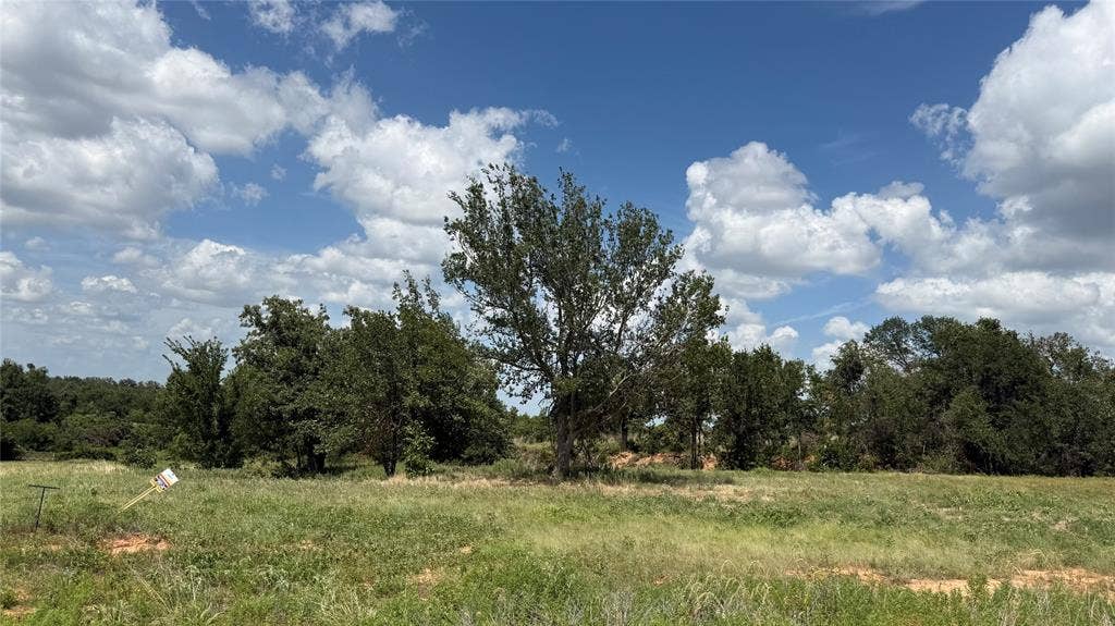1173 Gonzollas Road, Springtown, TX 76082 Expansive land parcel featuring natural ground cover, mature trees, and an open sky