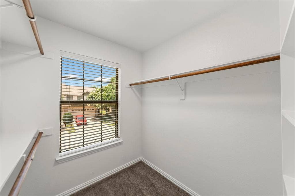 7916 Hannah Street, Plano, TX 75025 Walk-in closet featuring a window with blinds, white walls, wood-finish hanging rods, and carpeting