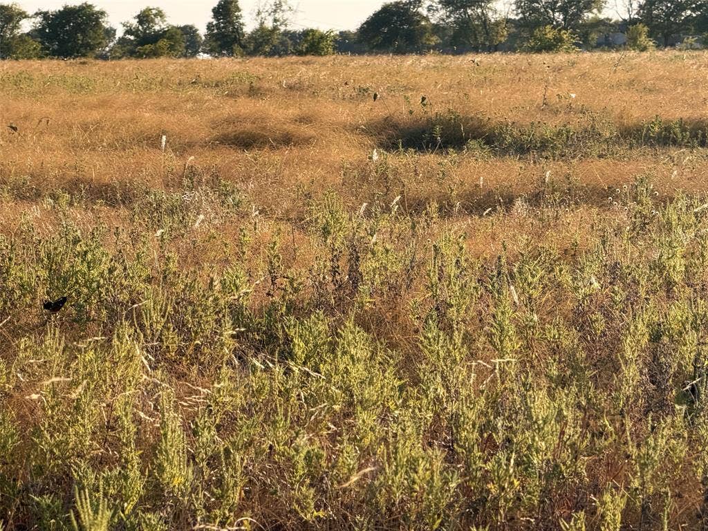 TBD N Hickory Rd, Krum, TX 76249