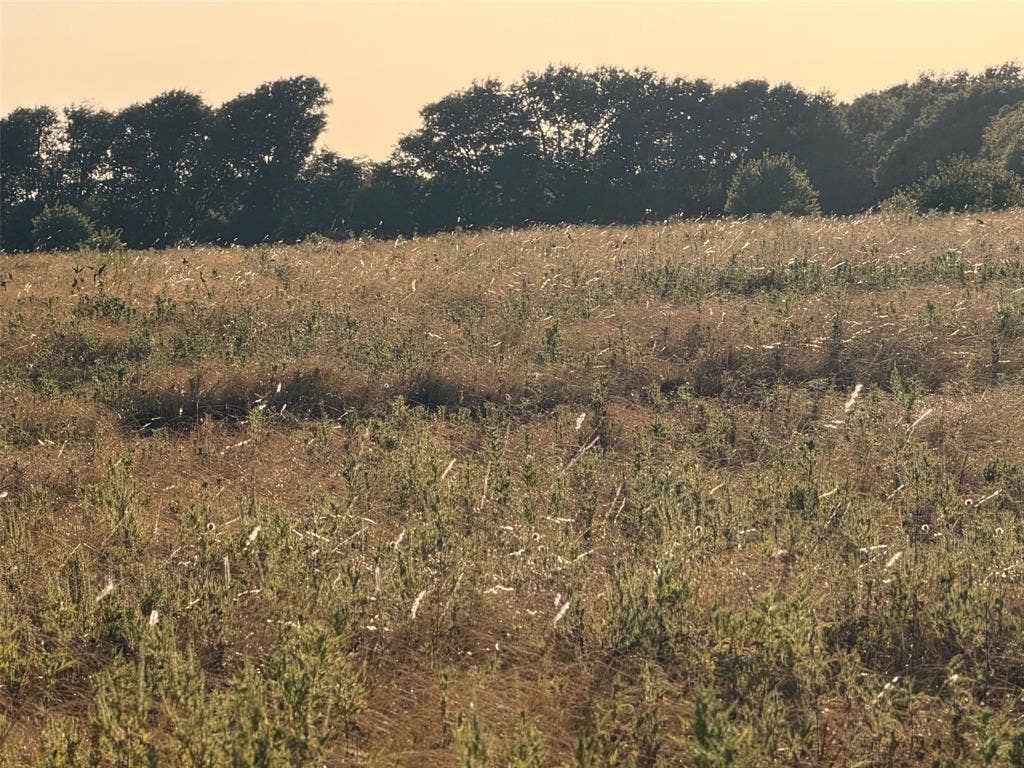 TBD N Hickory Rd, Krum, TX 76249