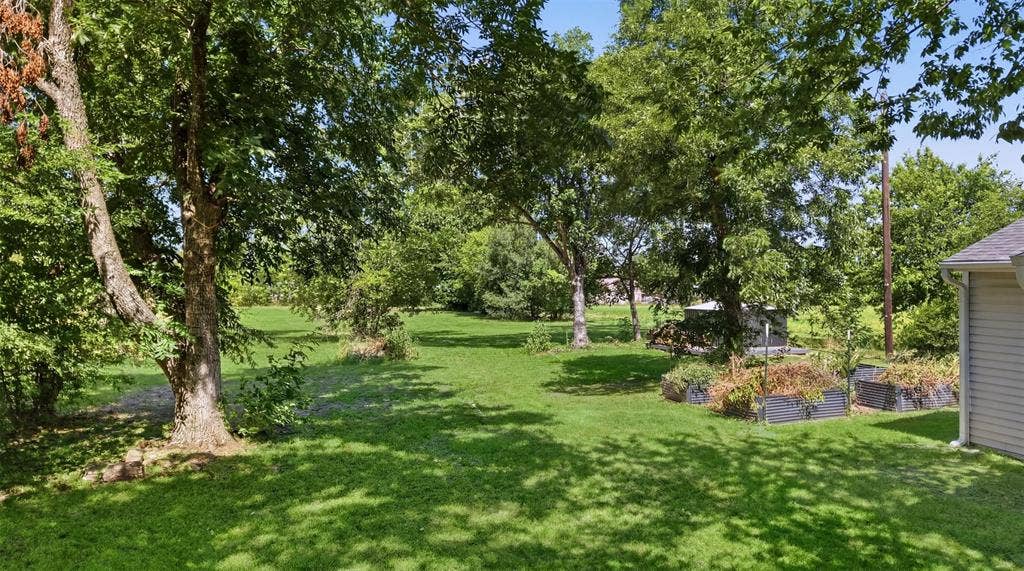 337 N 1st Street, Point, TX 75472 Expansive green lawn framed by mature trees, featuring multiple raised garden beds