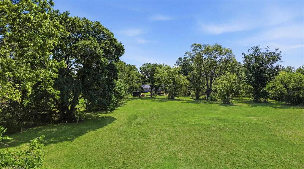 337 N 1st Street, Point, TX 75472 Expansive green lawn surrounded by mature trees, offering a secluded environment