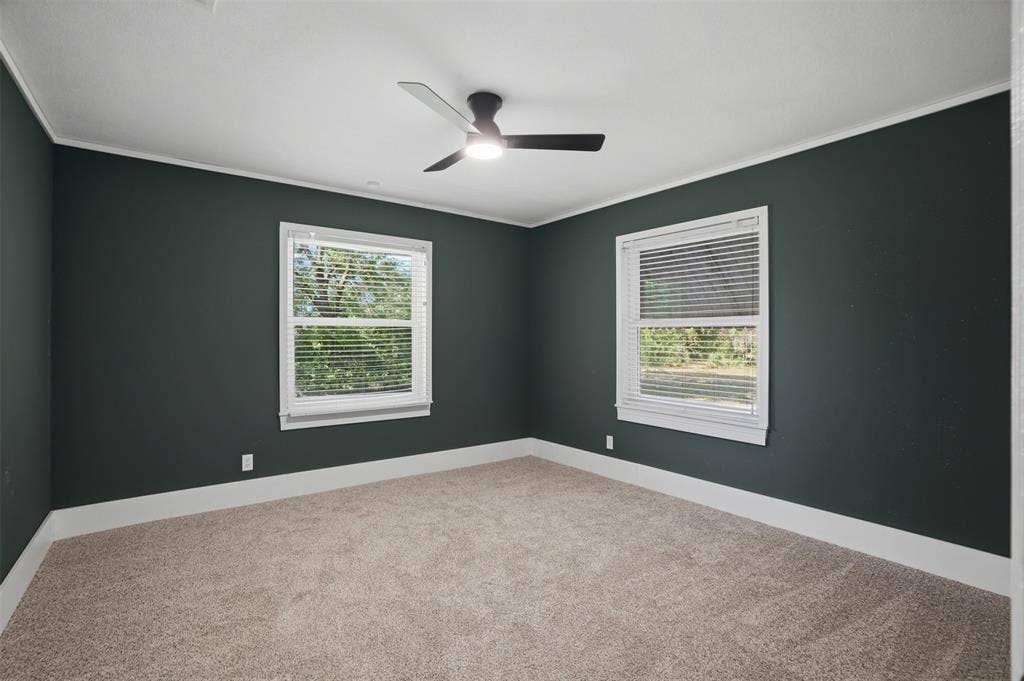 337 N 1st Street, Point, TX 75472 Room featuring dark green walls and light-colored carpeting