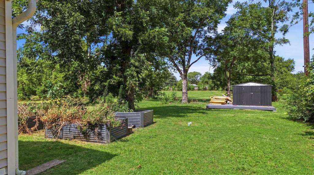 337 N 1st Street, Point, TX 75472 Expansive green lawn with mature trees and a metal storage shed on a raised platform