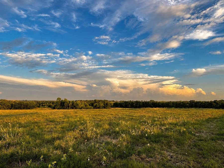 Property photo for Tract C2-1 County Road 1140, Celeste, TX
