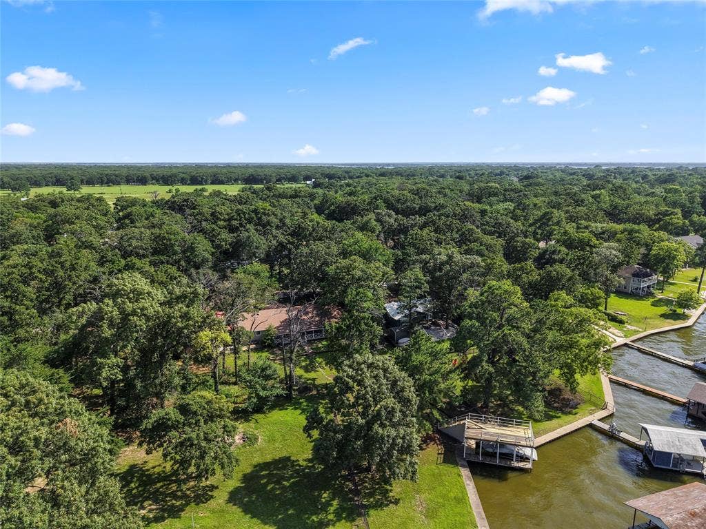 323 Dyer Circle, Payne Springs, TX 75156 Waterfront property featuring a private boat dock, lush green surroundings, and mature trees