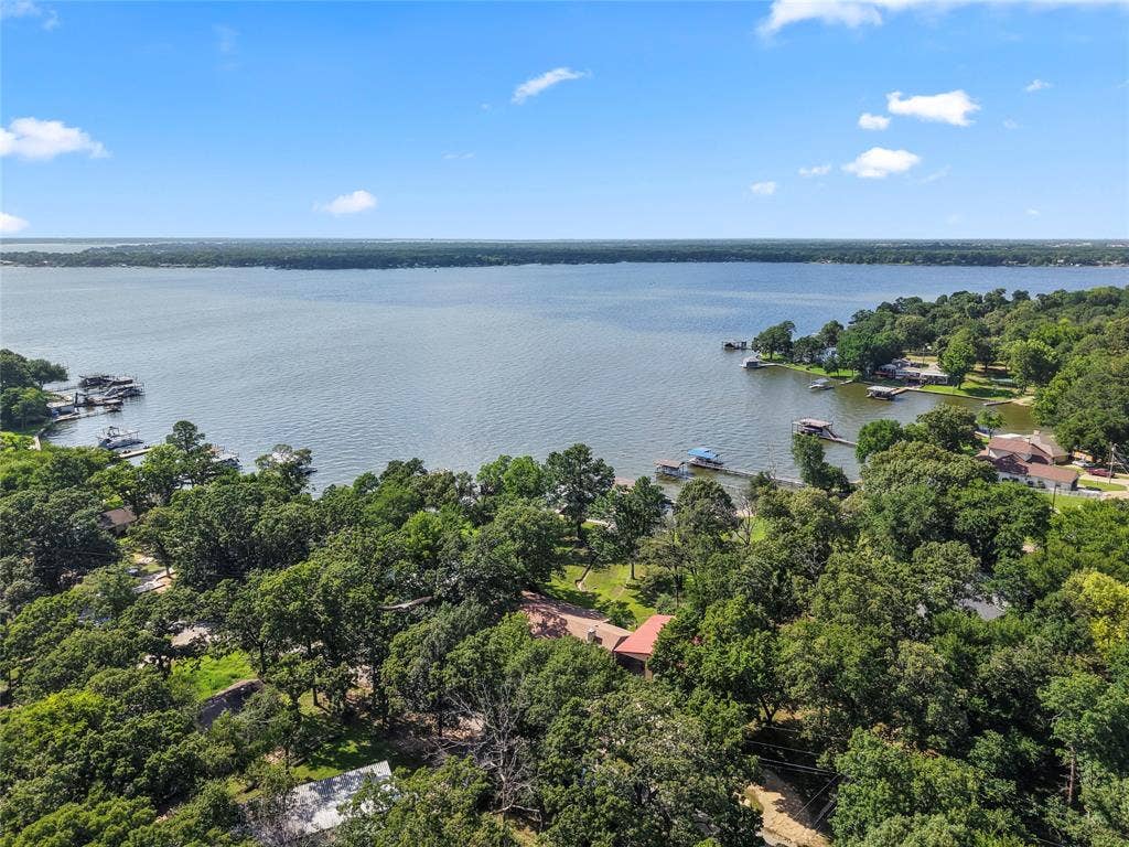 323 Dyer Circle, Payne Springs, TX 75156 Expansive water body with surrounding treeline