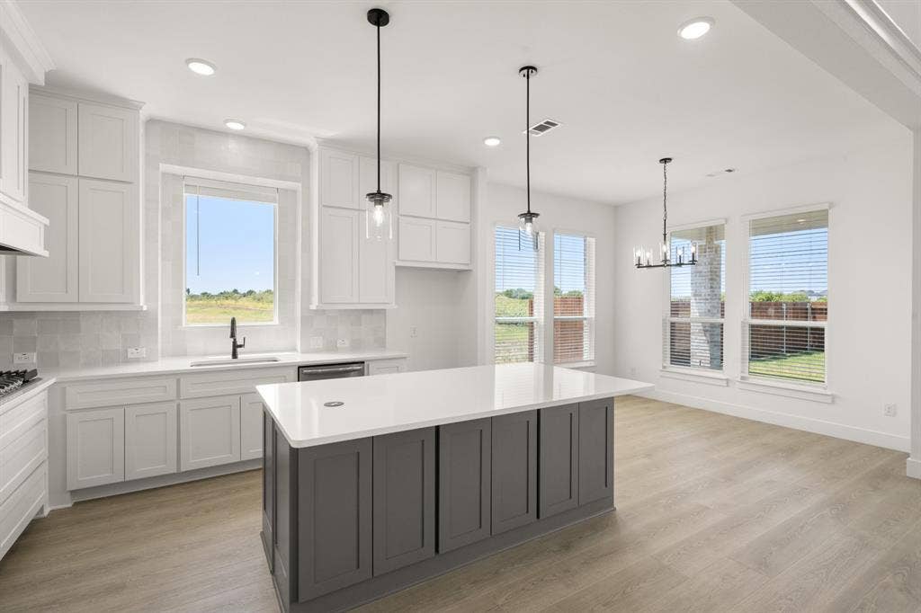 1110 Cowbird Way, Mansfield, TX 76063 1110 Cowbird- Kitchen-3