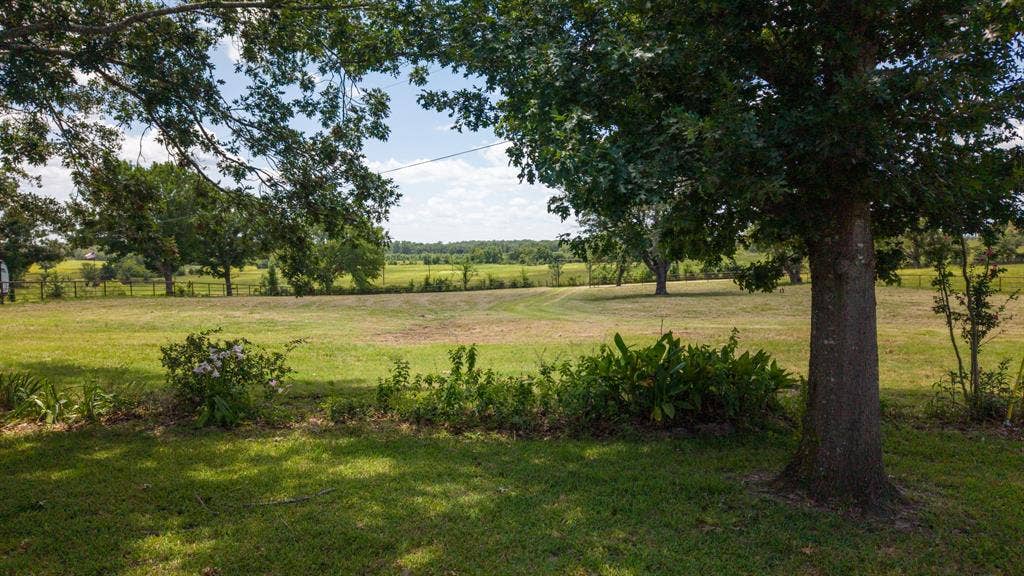 1053 Vz County Road 4206, Athens, TX 75752 Expansive green lawn with scattered trees and a natural landscape