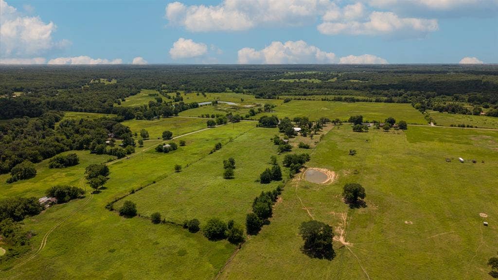 1053 Vz County Road 4206, Athens, TX 75752 Expansive rural landscape featuring verdant fields, scattered mature trees, and a visible pond