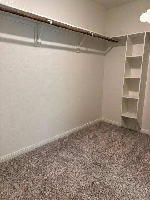 4053 Centerfire Road, Waco, TX 76705 Primary walk in closet