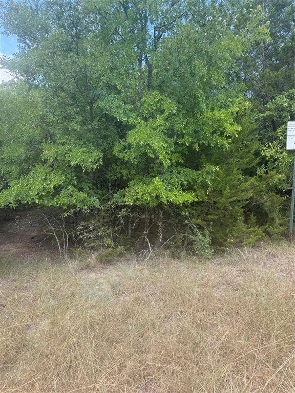 Property photo for 3821 Birdsong Court, Granbury, TX