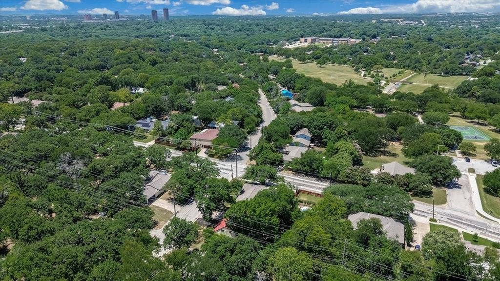 Mature tree canopy covering residential properties