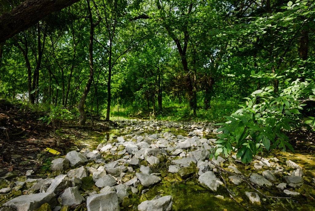 Creek across the street from property near walking/jogging paths. Nature trails.