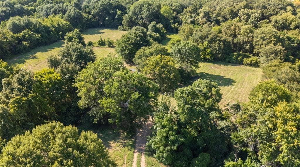 28300 County Road 2100, Kemp, TX 75143 Expansive wooded property featuring mature trees, open clearings, and natural ground cover