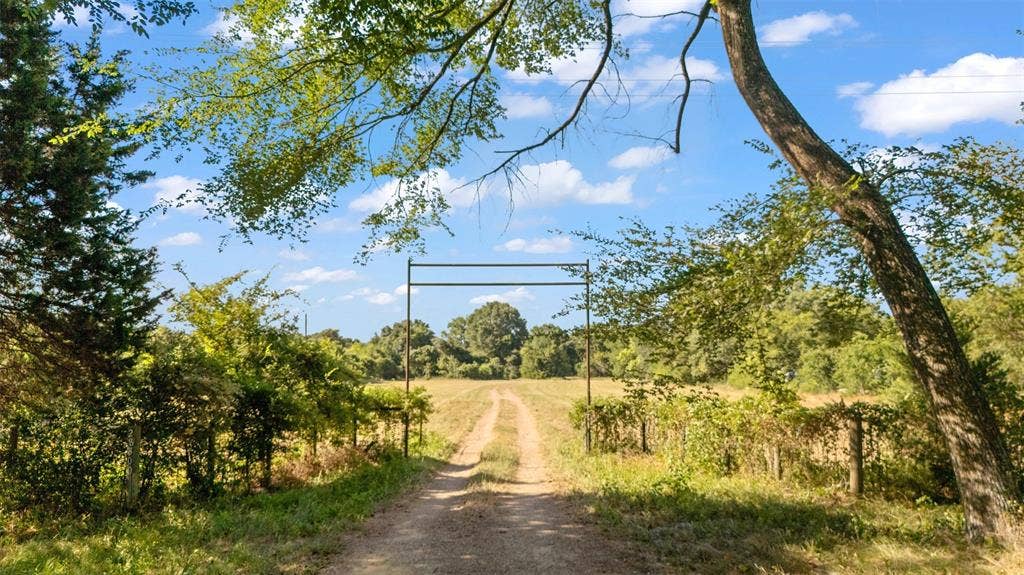 28300 County Road 2100, Kemp, TX 75143 Expansive dirt track entrance framed by a natural tree canopy