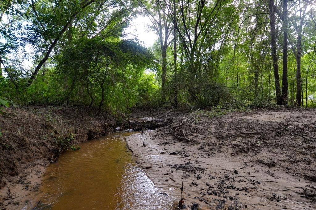 8690 County Road 1119, Athens, TX 75751 8690 County Road 1119, Athens, TX 75751