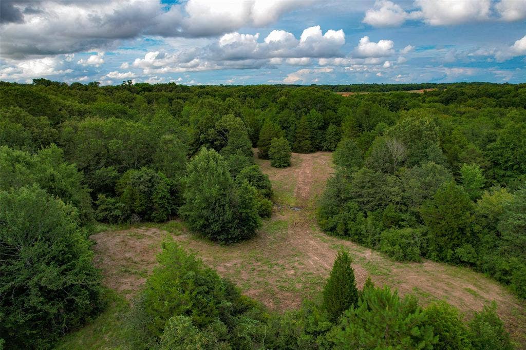 8690 County Road 1119, Athens, TX 75751 8690 County Road 1119, Athens, TX 75751