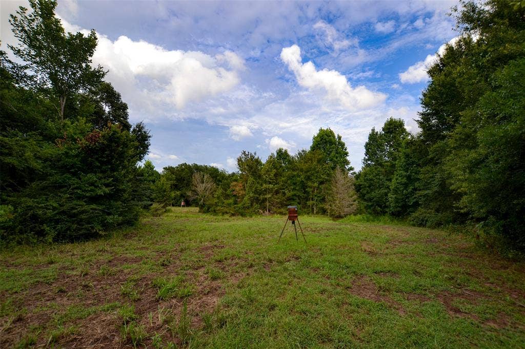 8690 County Road 1119, Athens, TX 75751 8690 County Road 1119, Athens, TX 75751