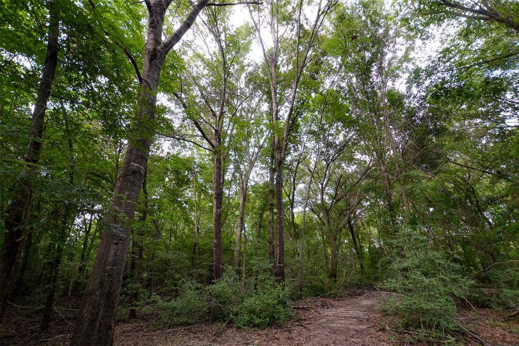8690 County Road 1119, Athens, TX 75751 8690 County Road 1119, Athens, TX 75751