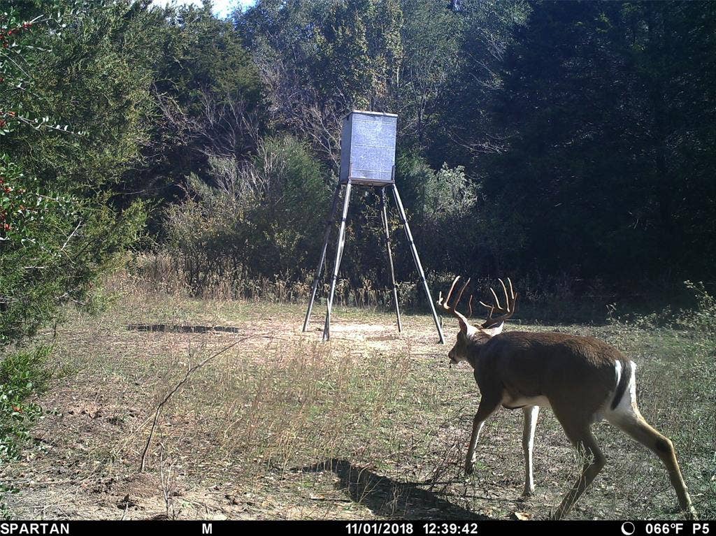 8690 County Road 1119, Athens, TX 75751 8690 County Road 1119, Athens, TX 75751