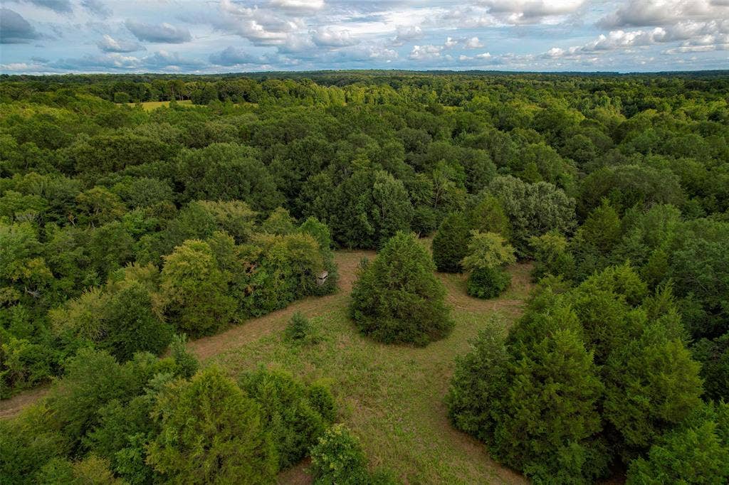 8690 County Road 1119, Athens, TX 75751 8690 County Road 1119, Athens, TX 75751