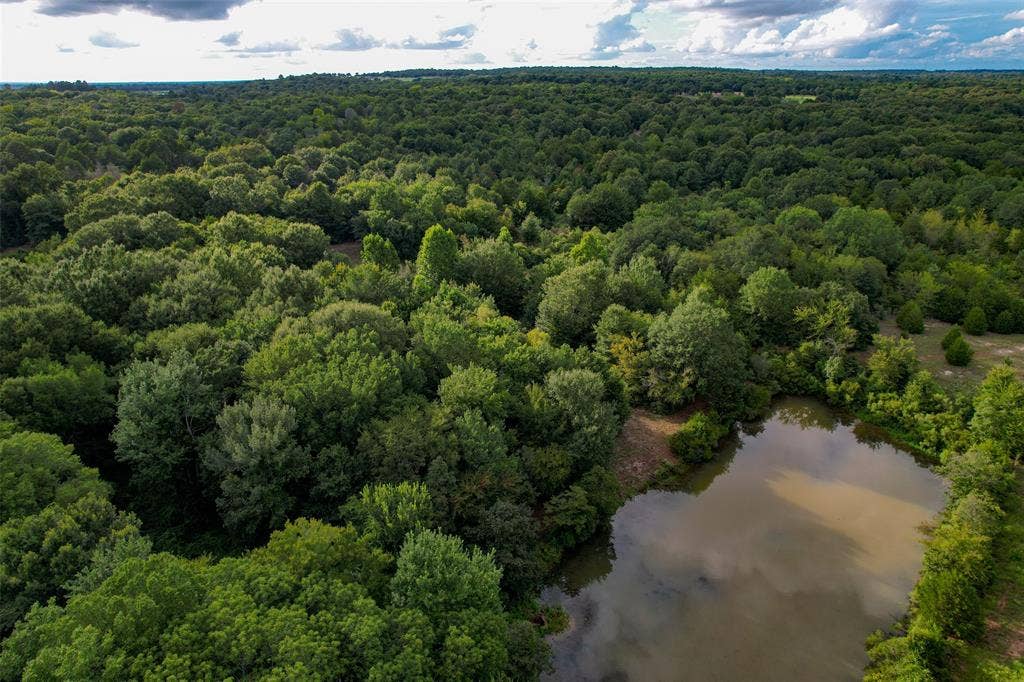 8690 County Road 1119, Athens, TX 75751 8690 County Road 1119, Athens, TX 75751