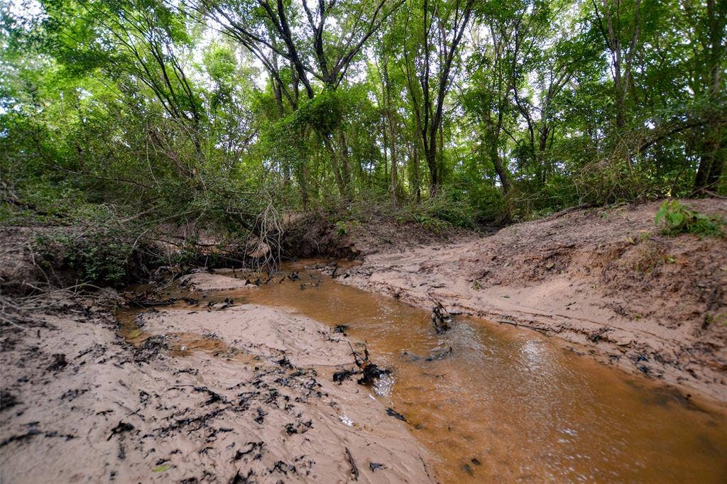 8690 County Road 1119, Athens, TX 75751 8690 County Road 1119, Athens, TX 75751
