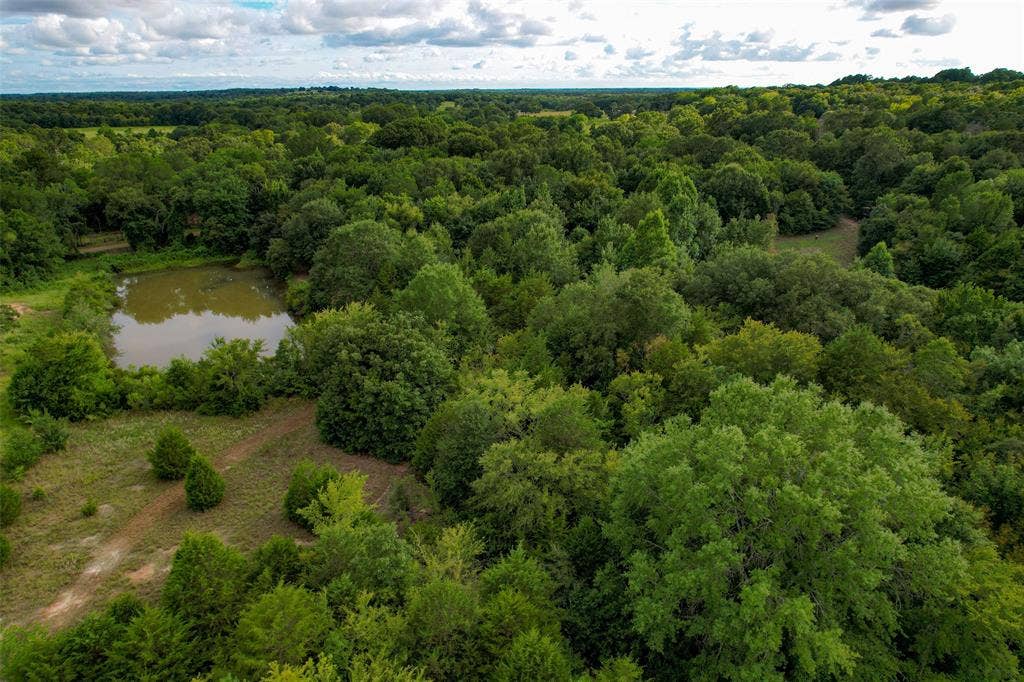 8690 County Road 1119, Athens, TX 75751 8690 County Road 1119, Athens, TX 75751