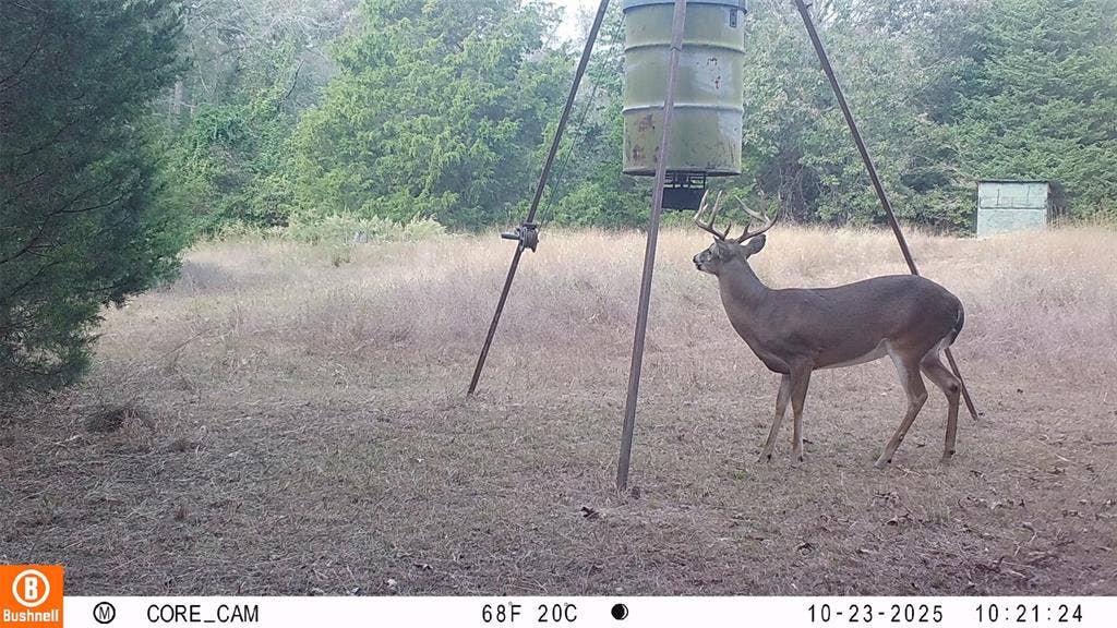 8690 County Road 1119, Athens, TX 75751 8690 County Road 1119, Athens, TX 75751