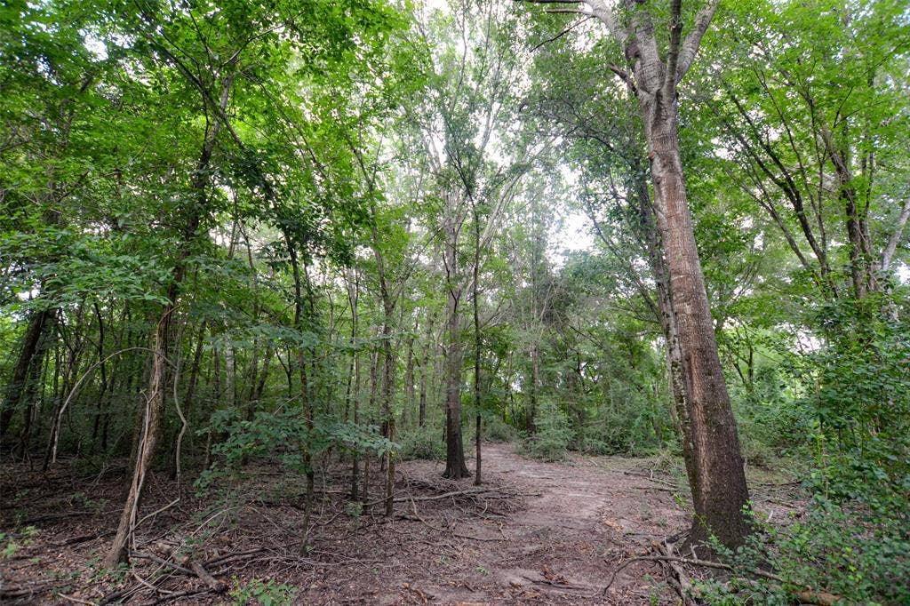8690 County Road 1119, Athens, TX 75751 8690 County Road 1119, Athens, TX 75751
