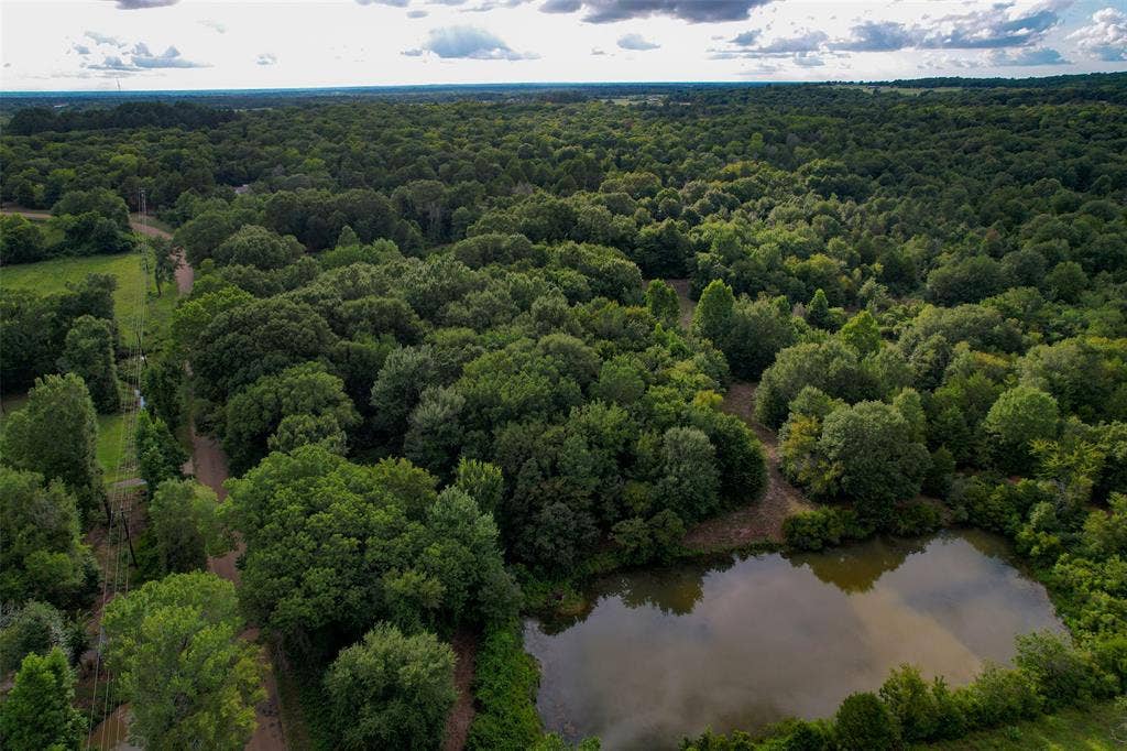 8690 County Road 1119, Athens, TX 75751 8690 County Road 1119, Athens, TX 75751